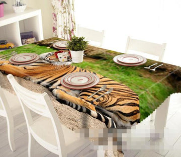3D Lying Tiger 1339 Tablecloths Wallpaper AJ Wallpaper 