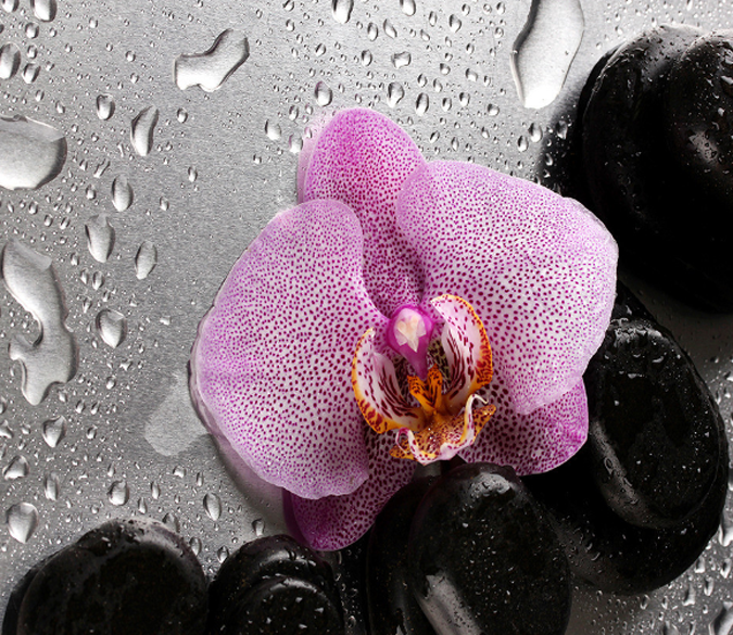 3D Fresh Flower Floor Mural Wallpaper AJ Wallpaper 2 