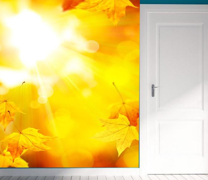 Falling Leaves 1 Wallpaper AJ Wallpaper 