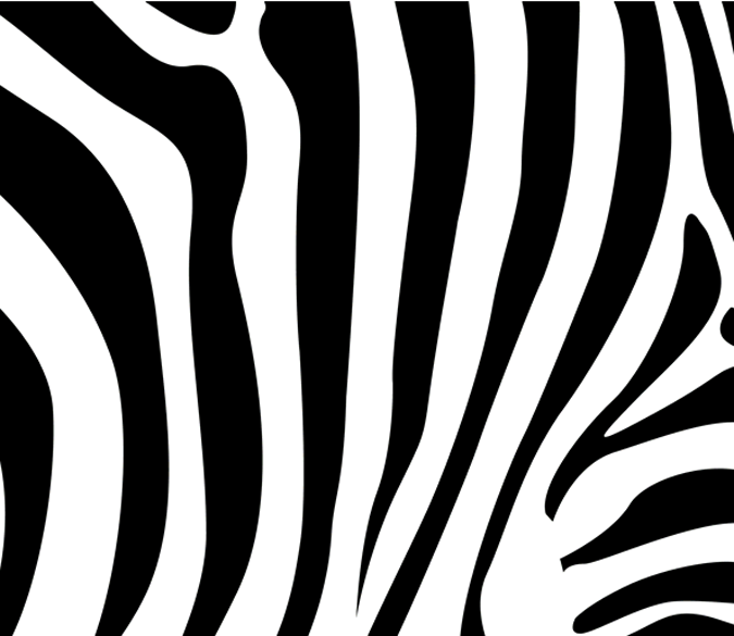 Zebra Stripes Wallpaper AJ Wallpaper 