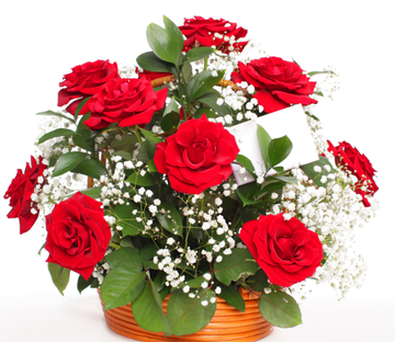 Roses Flower Basket Wallpaper AJ Wallpaper 