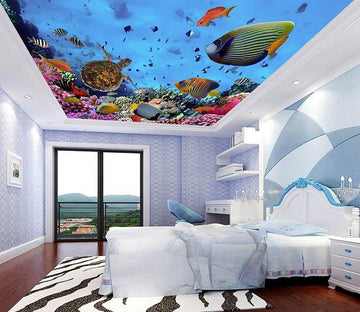 Sea Corals Fishes Wallpaper AJ Wallpaper 