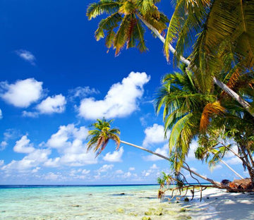 Beautiful Beach 10 Wallpaper AJ Wallpaper 