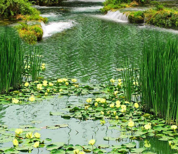 3D Yellow Water Lily Floor Mural Wallpaper AJ Wallpaper 2 
