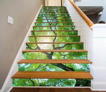 3D Lush Green Tree 1013 Stair Risers Wallpaper AJ Wallpaper 