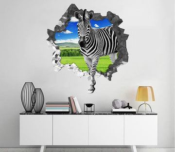 3D Lawn Zebra 73 Broken Wall Murals Wallpaper AJ Wallpaper 