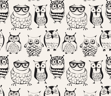 Lovely Owls Wallpaper AJ Wallpaper 