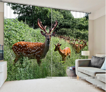 3D Wilderness Deer 1005 Curtains Drapes Wallpaper AJ Wallpaper 