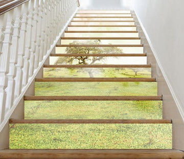 3D Grassland Trees 35 Stair Risers Wallpaper AJ Wallpaper 