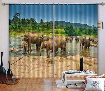 3D River Elephants 59 Curtains Drapes Wallpaper AJ Wallpaper 