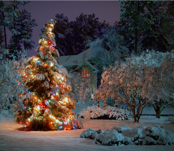 Christmas Tree 1 Wallpaper AJ Wallpaper 