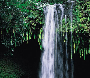 Waterfall Scenery Wallpaper AJ Wallpaper 