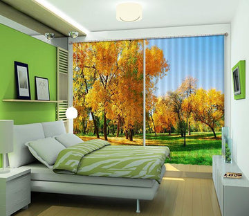 3D Autumn Grassland Trees 213 Curtains Drapes Wallpaper AJ Wallpaper 