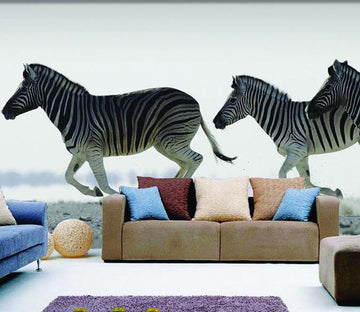 Galloping Zebras Wallpaper AJ Wallpaper 