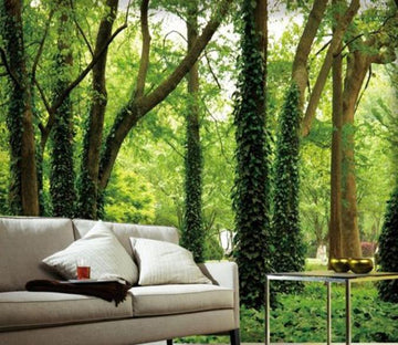 Forest Trees Wallpaper AJ Wallpaper 