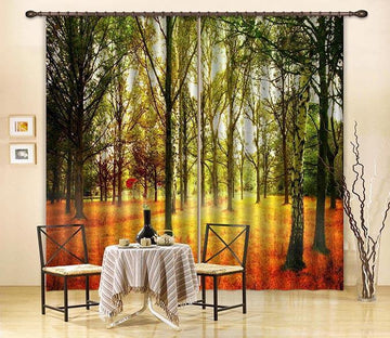 3D Grassland Trees 183 Curtains Drapes Wallpaper AJ Wallpaper 