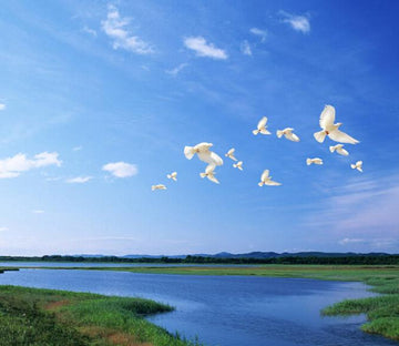 Flying White Doves Wallpaper AJ Wallpaper 