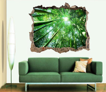 3D Bamboo Forest 088 Broken Wall Murals Wallpaper AJ Wallpaper 