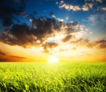 Dazzling Sun Wallpaper AJ Wallpaper 