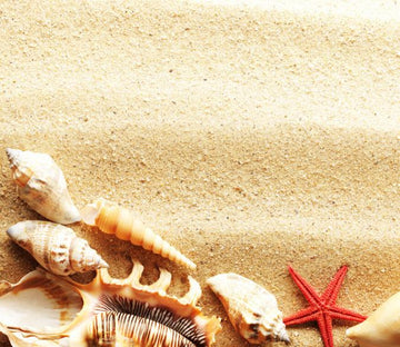 Conch Starfish Wallpaper AJ Wallpaper 