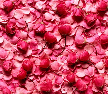3D Red Petals Floor Mural Wallpaper AJ Wallpaper 2 