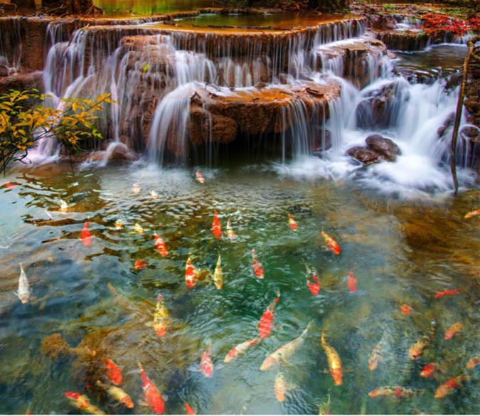 Fish Water Fall 3D Waterfall Fish Pond Floor Mural Non-slip, Waterproof & Removable R ...
