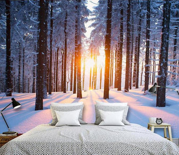 Snowy Forest 2 Wallpaper AJ Wallpaper 