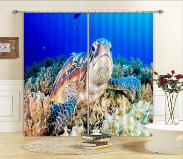 3D Seabed Turtle 142 Curtains Drapes Wallpaper AJ Wallpaper 