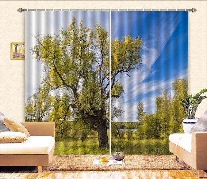 3D Green Trees Blue Sky 517 Curtains Drapes Wallpaper AJ Wallpaper 