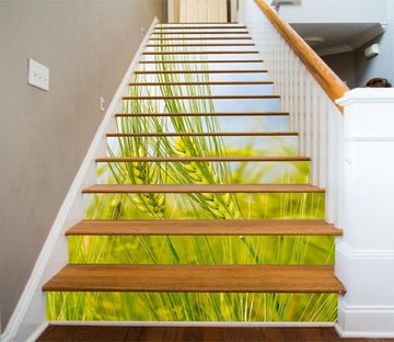 3D Green Wheat 1310 Stair Risers Wallpaper AJ Wallpaper 