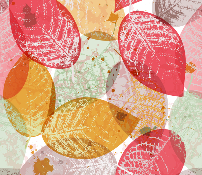 Colored Leaves Wallpaper AJ Wallpaper 