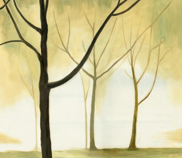 Young Trees 1 Wallpaper AJ Wallpaper 