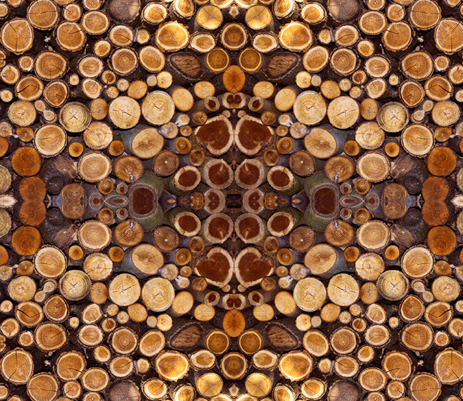 3D Wood Annual Rings Floor Mural Wallpaper AJ Wallpaper 2 