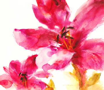 Watercolor Red Flowers Wallpaper AJ Wallpaper 