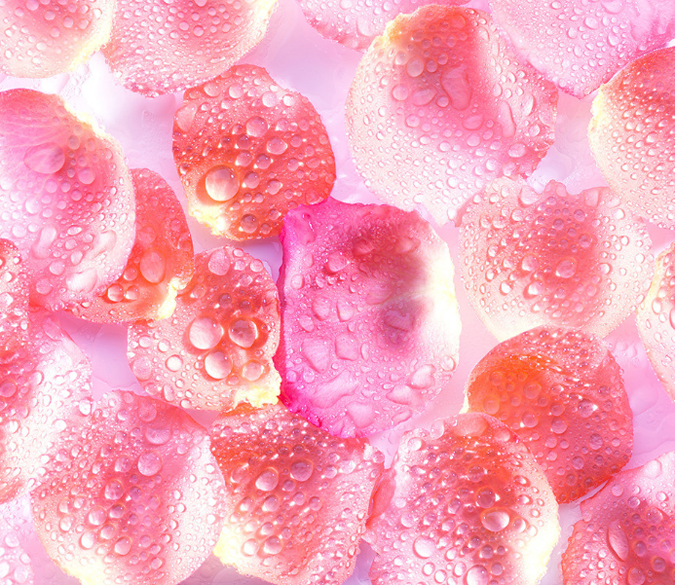 3D Pure Petals Floor Mural Wallpaper AJ Wallpaper 2 