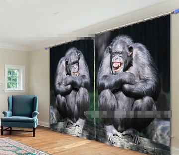 3D Chimpanzee 2209 Curtains Drapes Wallpaper AJ Wallpaper 
