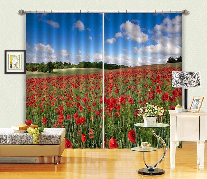 3D Flowers Field 623 Curtains Drapes Wallpaper AJ Wallpaper 
