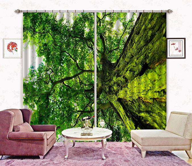 3D Lush Tree Curtains Drapes Wallpaper AJ Wallpaper 