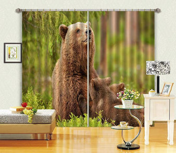 3D Playful Bear Curtains Drapes Wallpaper AJ Wallpaper 
