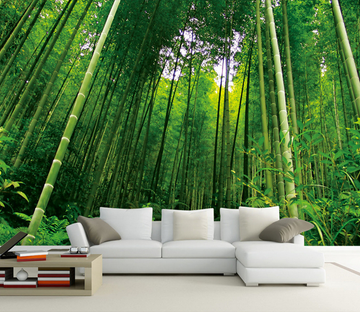 Dense Bamboo Forest Wallpaper AJ Wallpaper 