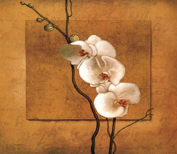 Unique Flowers Wallpaper AJ Wallpaper 