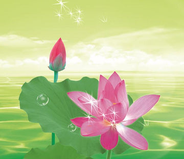 Dazzling Lotus Wallpaper AJ Wallpaper 
