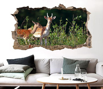 3D Wilderness Deer 034 Broken Wall Murals Wallpaper AJ Wallpaper 