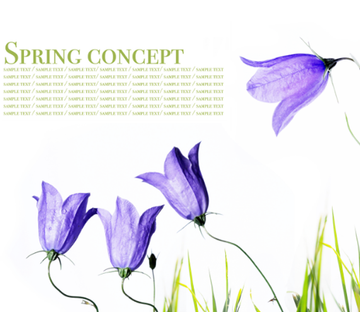 Spring Concept Wallpaper AJ Wallpaper 