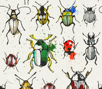 Insects Wallpaper AJ Wallpaper 