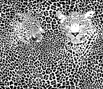 Leopards Wallpaper AJ Wallpaper 