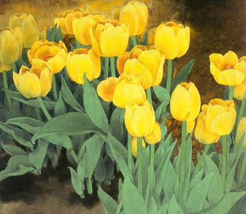 Yellow Tulips Wallpaper AJ Wallpaper 