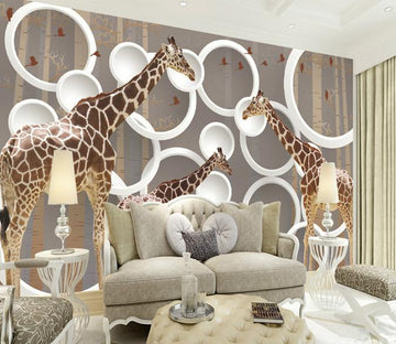 Giraffes Wallpaper AJ Wallpaper 