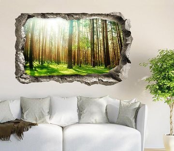 3D Sunshine Forest Trees 124 Broken Wall Murals Wallpaper AJ Wallpaper 