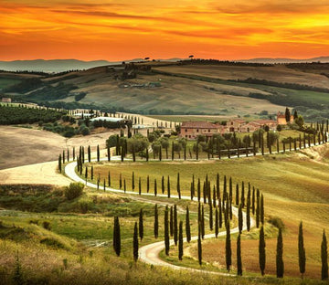 Winding Mountain Path Wallpaper AJ Wallpaper 